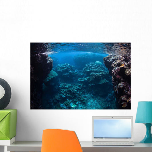 Reef-building Corals Thrive Reef Wall Decal Design 2