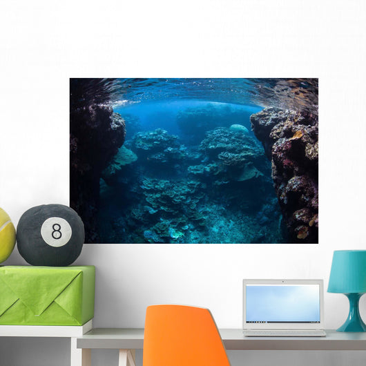 Reef-building Corals Thrive Reef Wall Decal Design 2