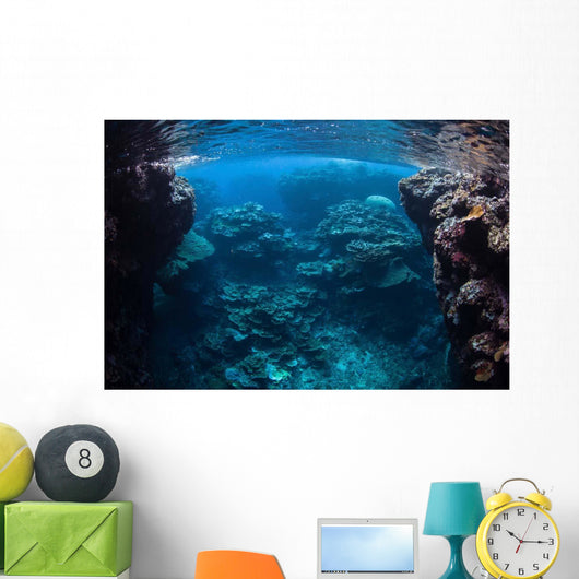 Reef-building Corals Thrive Reef Wall Decal Design 2