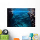 Reef-building Corals Thrive Reef Wall Decal Design 2