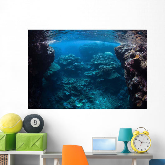 Reef-building Corals Thrive Reef Wall Decal Design 2