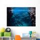 Reef-building Corals Thrive Reef Wall Decal Design 2