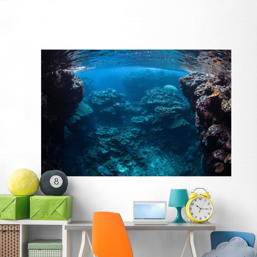 Reef-building Corals Thrive Reef Wall Decal Design 2
