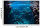 Reef-building Corals Thrive Reef Wall Decal Design 2