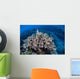 Colorful Reef-building Corals Grow Wall Decal Design 3
