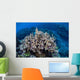 Colorful Reef-building Corals Grow Wall Decal Design 3