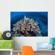 Colorful Reef-building Corals Grow Wall Decal Design 3