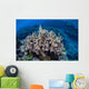 Colorful Reef-building Corals Grow Wall Decal Design 3