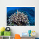 Colorful Reef-building Corals Grow Wall Decal Design 3