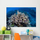 Colorful Reef-building Corals Grow Wall Decal Design 3