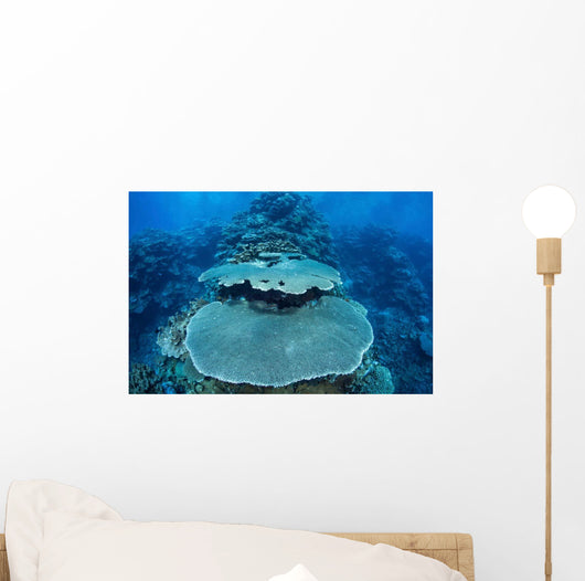 Reef-building Corals Grow Reef Wall Decal Design 2