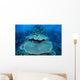 Reef-building Corals Grow Reef Wall Decal Design 2