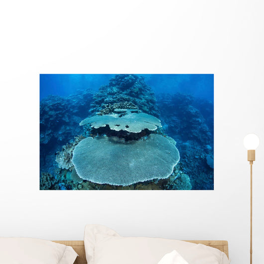 Reef-building Corals Grow Reef Wall Decal Design 2