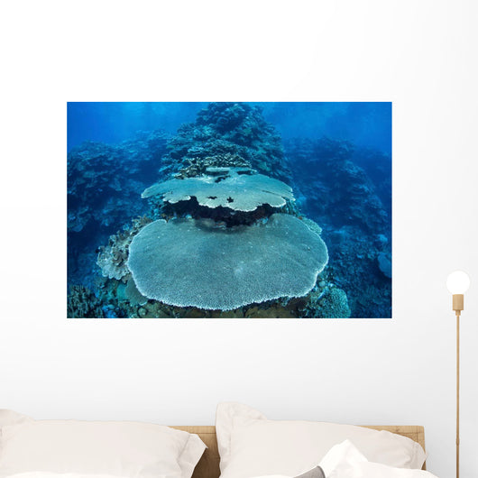 Reef-building Corals Grow Reef Wall Decal Design 2