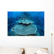 Reef-building Corals Grow Reef Wall Decal Design 2