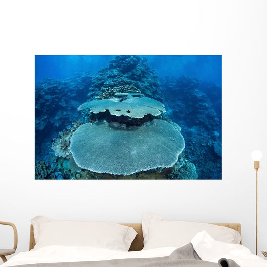 Reef-building Corals Grow Reef Wall Decal Design 2