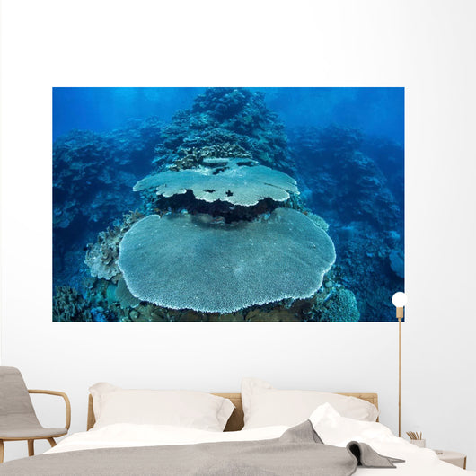 Reef-building Corals Grow Reef Wall Decal Design 2