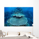 Reef-building Corals Grow Reef Wall Decal Design 2