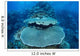 Reef-building Corals Grow Reef Wall Decal Design 2