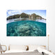 Beautiful Coral Reef Grows Wall Decal Design 6