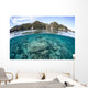 Beautiful Coral Reef Grows Wall Decal Design 6