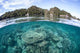 Beautiful Coral Reef Grows Wall Decal Design 6