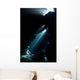 Sunlight Descends Underwater and Wall Decal Design 5