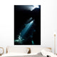 Sunlight Descends Underwater and Wall Decal Design 5
