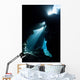 Sunlight Descends Underwater and Wall Decal Design 4