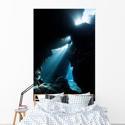 Sunlight Descends Underwater and Wall Decal Design 4