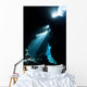 Sunlight Descends Underwater and Wall Decal Design 4
