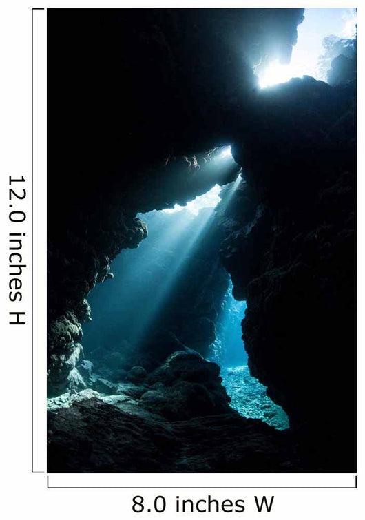 Sunlight Descends Underwater and Wall Decal Design 4