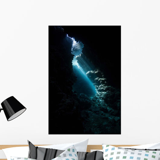 Sunlight Descends Underwater and Wall Decal Design 3
