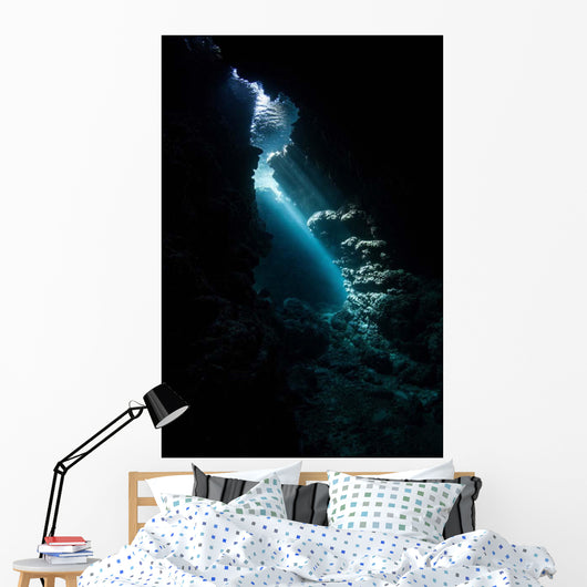 Sunlight Descends Underwater and Wall Decal Design 3