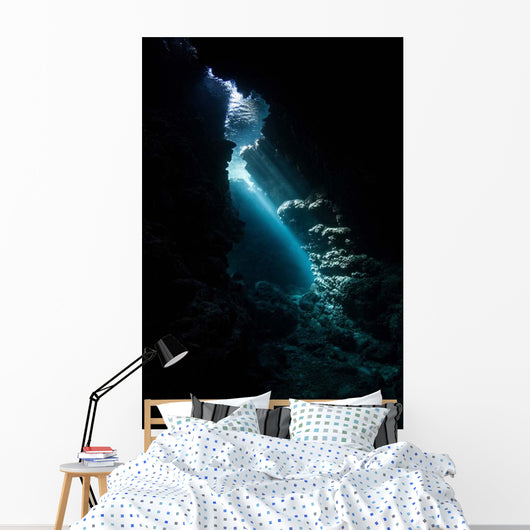 Sunlight Descends Underwater and Wall Decal Design 3
