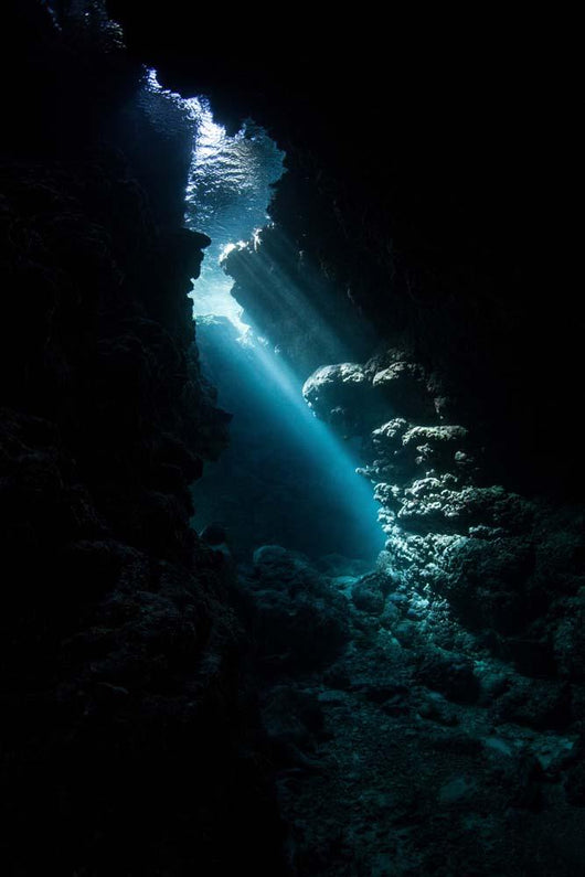 Sunlight Descends Underwater and Wall Decal Design 3
