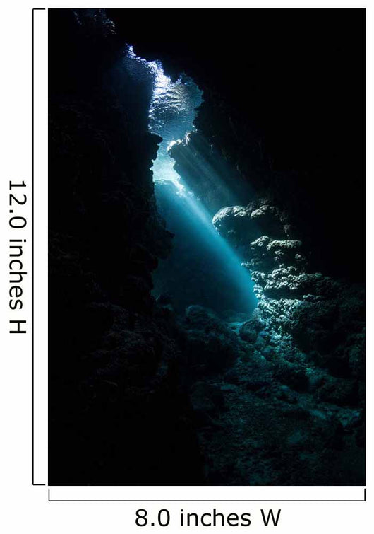 Sunlight Descends Underwater and Wall Decal Design 3