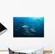 School Barracuda above Coral Wall Decal Design 2
