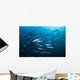 School Barracuda above Coral Wall Decal Design 2