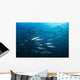 School Barracuda above Coral Wall Decal Design 2