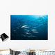 School Barracuda above Coral Wall Decal Design 2