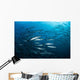 School Barracuda above Coral Wall Decal Design 2