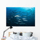 School Barracuda above Coral Wall Decal Design 2