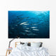 School Barracuda above Coral Wall Decal Design 2