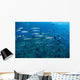 School Barracuda above Coral Wall Decal Design 1