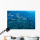 School Barracuda above Coral Wall Decal Design 1