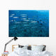 School Barracuda above Coral Wall Decal Design 1