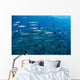 School Barracuda above Coral Wall Decal Design 1