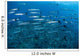 School Barracuda above Coral Wall Decal Design 1