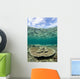 Large Table Coral Grows Wall Decal Design 2